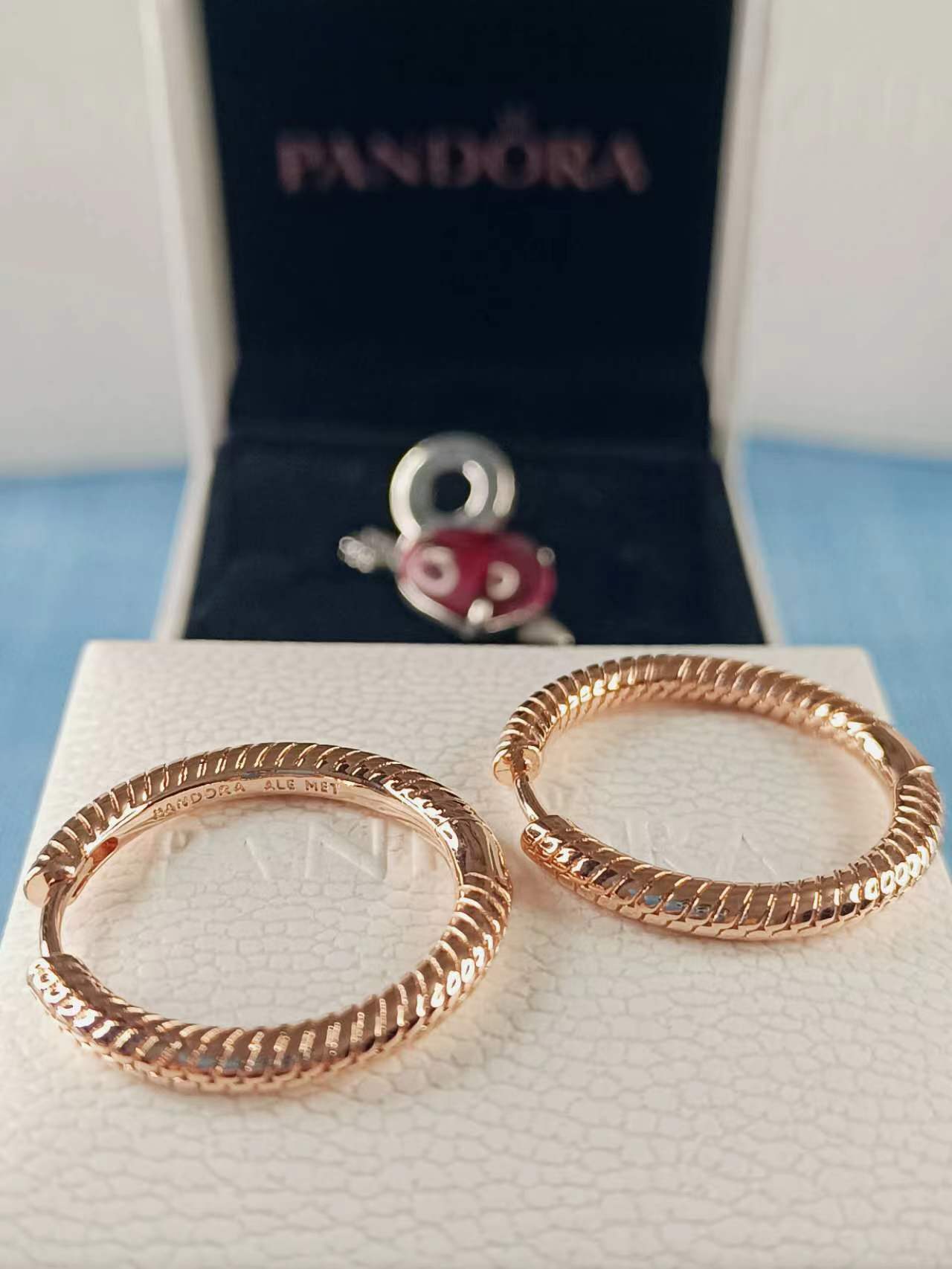 Rose Gold-Plated Moments Charm Hoop Earrings