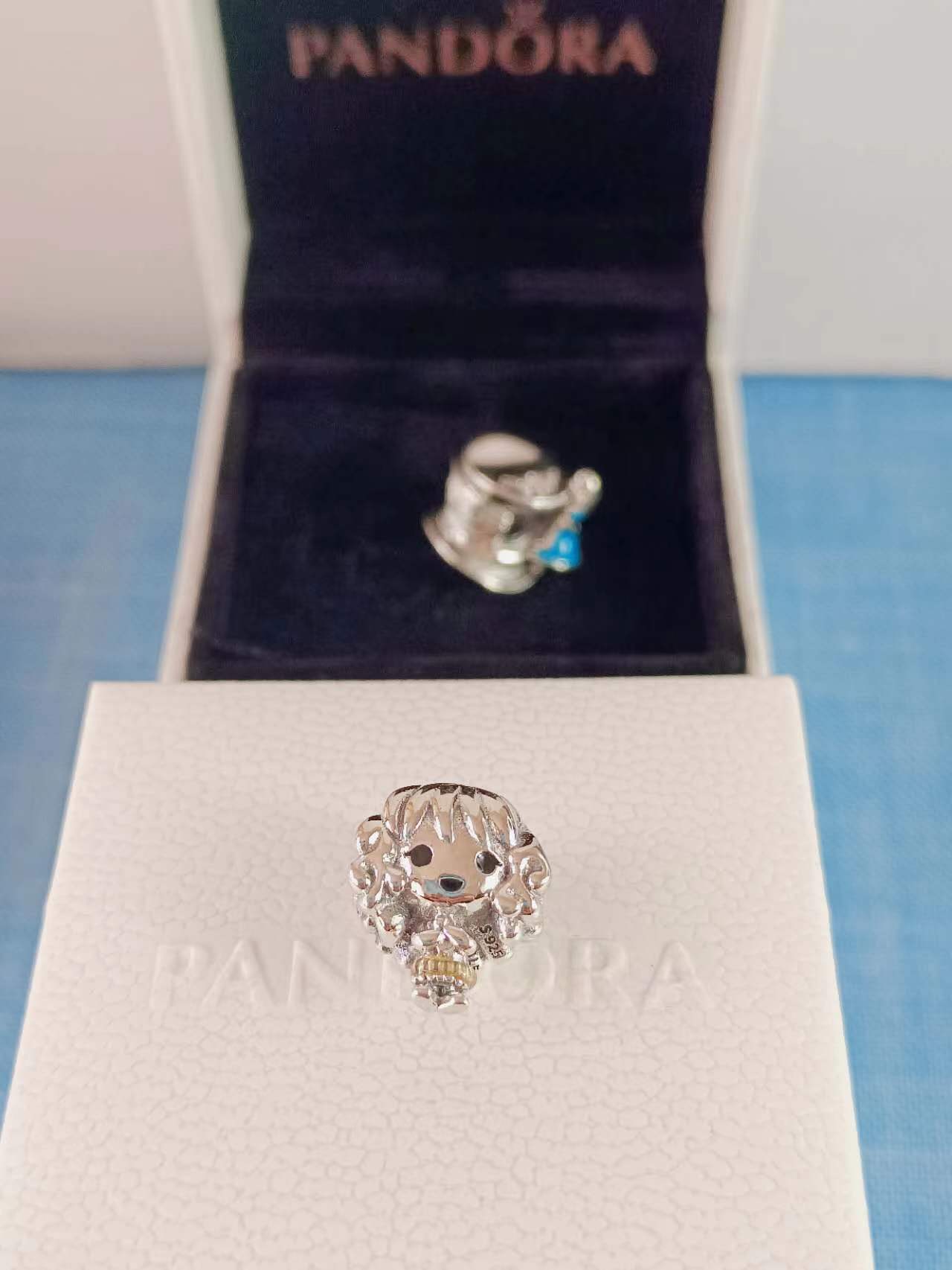 Harry Potter Hermione Granger Charm