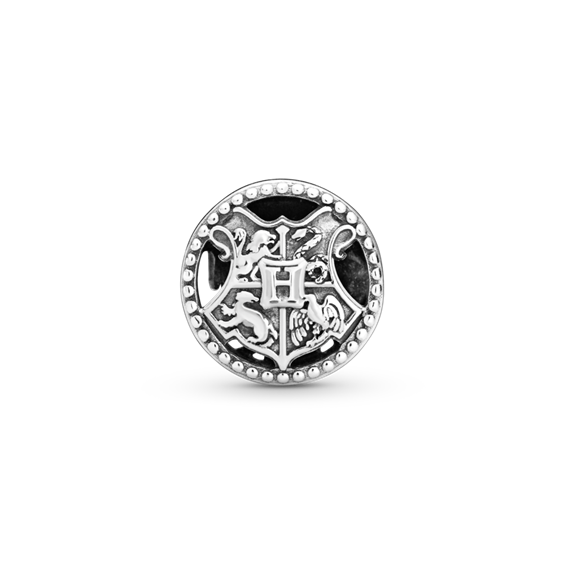 Harry Potter Hogwarts School Charm