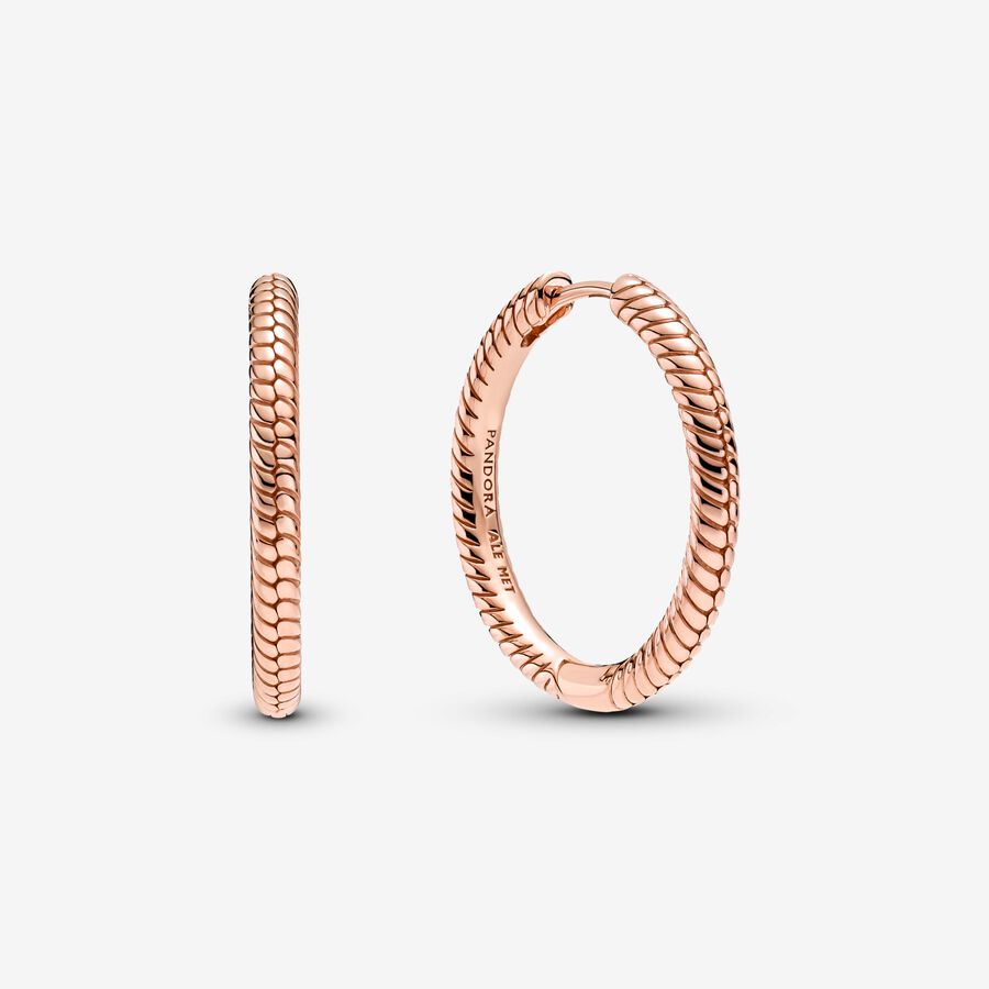 Rose Gold-Plated Moments Charm Hoop Earrings
