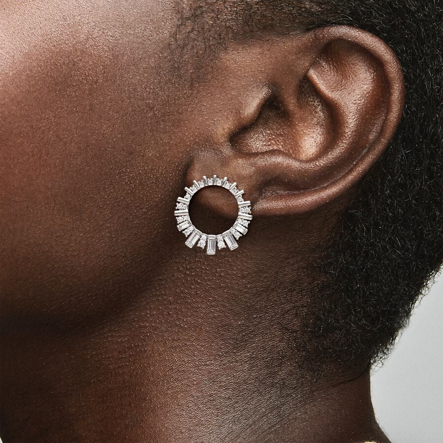 Glacial Beauty Earrings