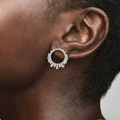 Glacial Beauty Earrings