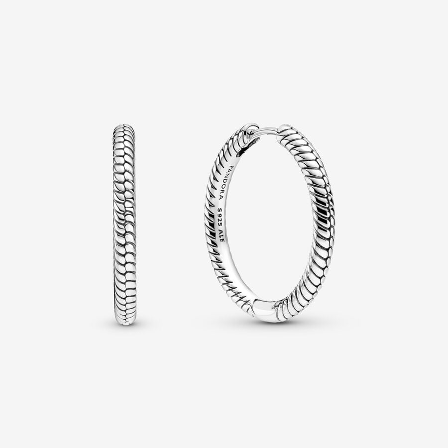 Moments Charm Hoop Earrings Sterling silver
