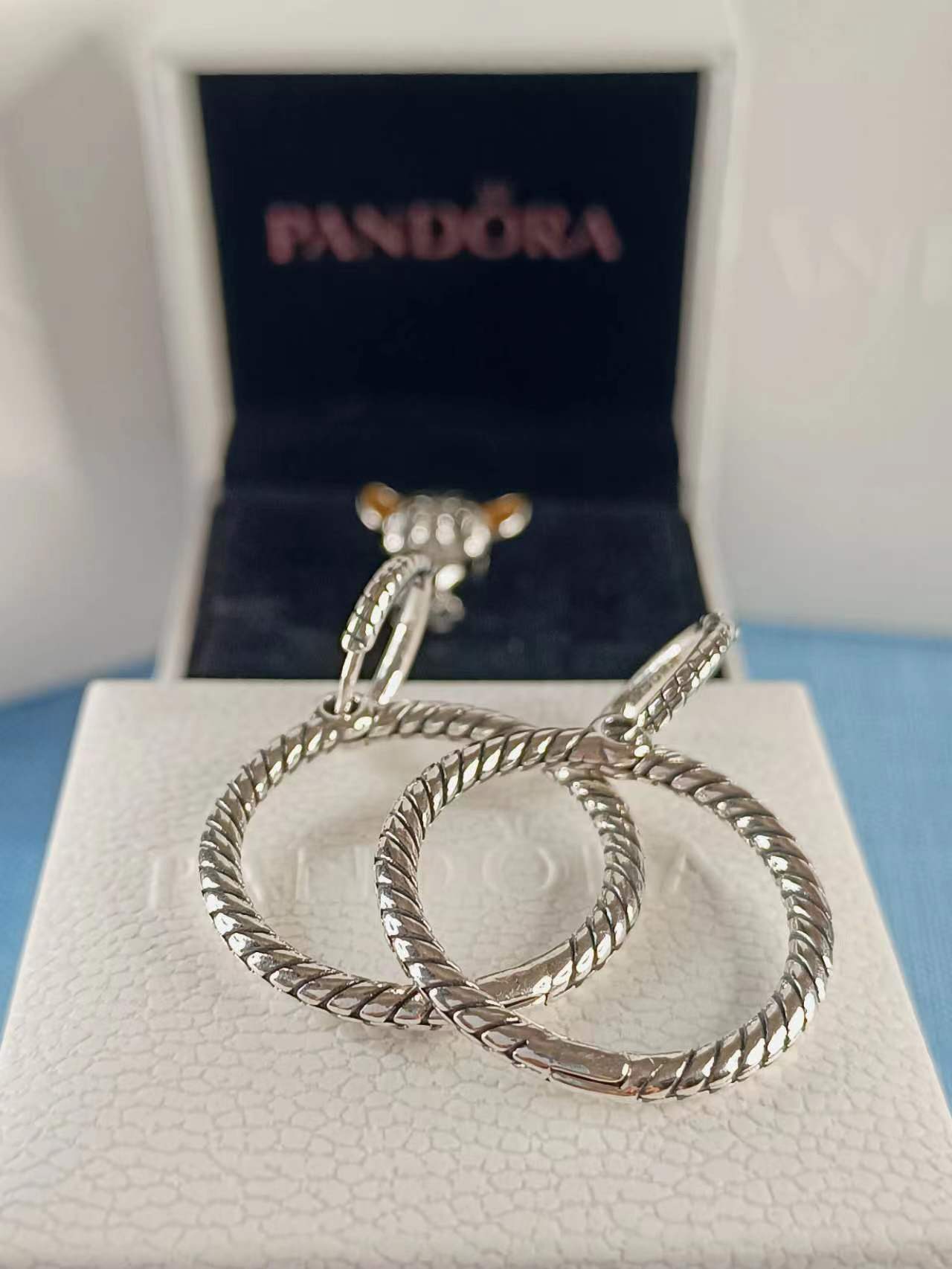 Double Hoop Earrings for Charms