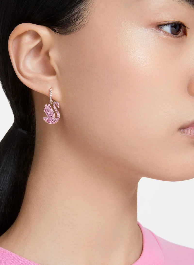 Iconic Swan Hoop Earrings, Rose-Gold Tone Plated