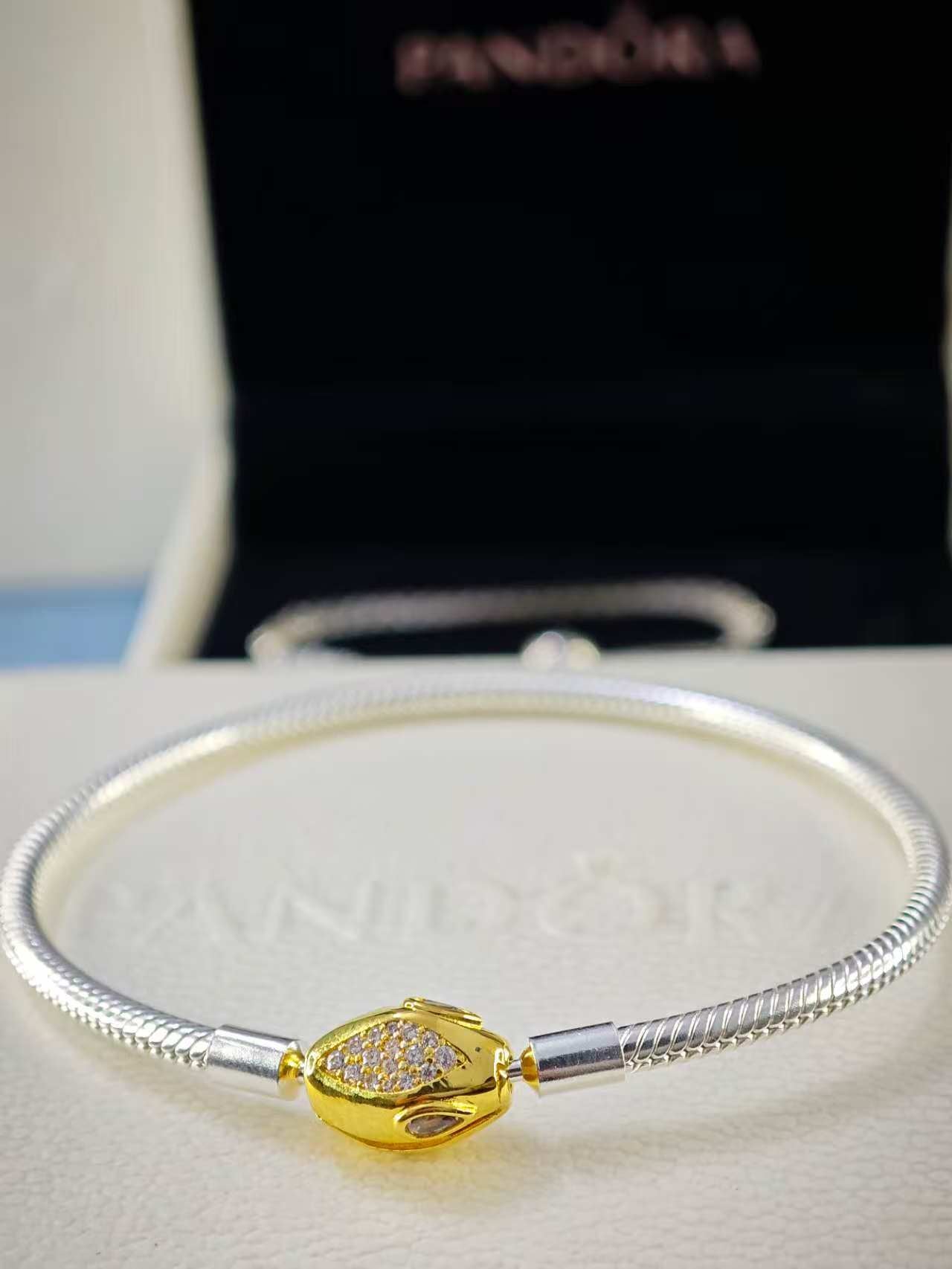 Snake Clasp & Chain Bracelet