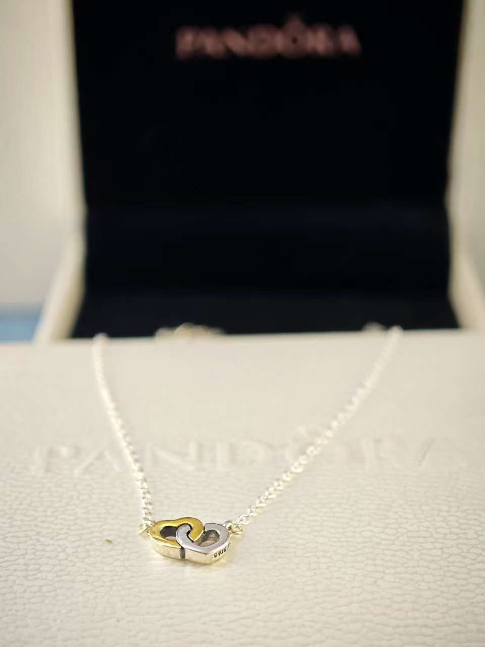United in Love Necklace