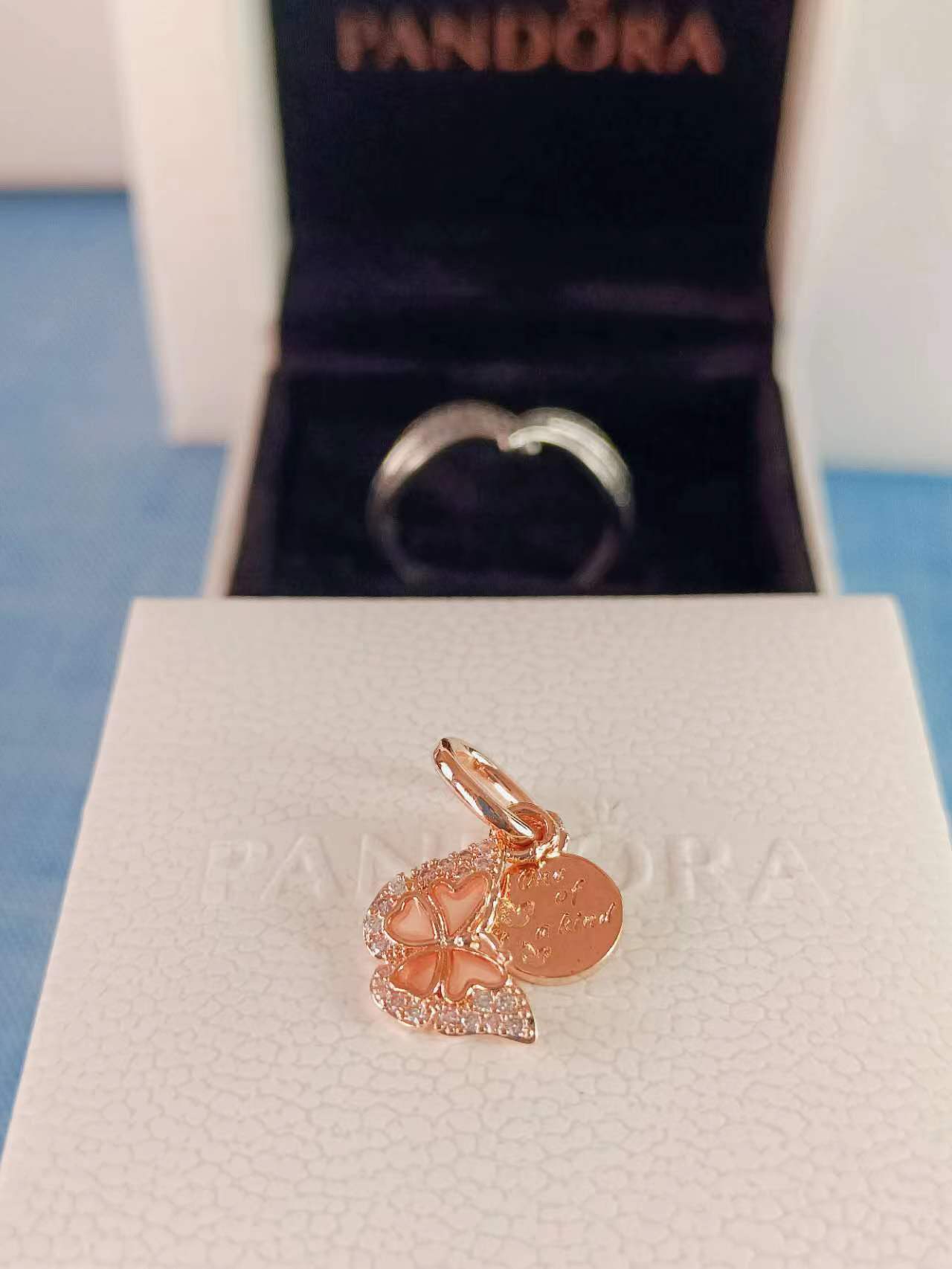 Pink Butterfly & Quote Double Dangle Charm