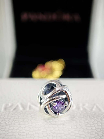 February Purple Eternity Circle Charm