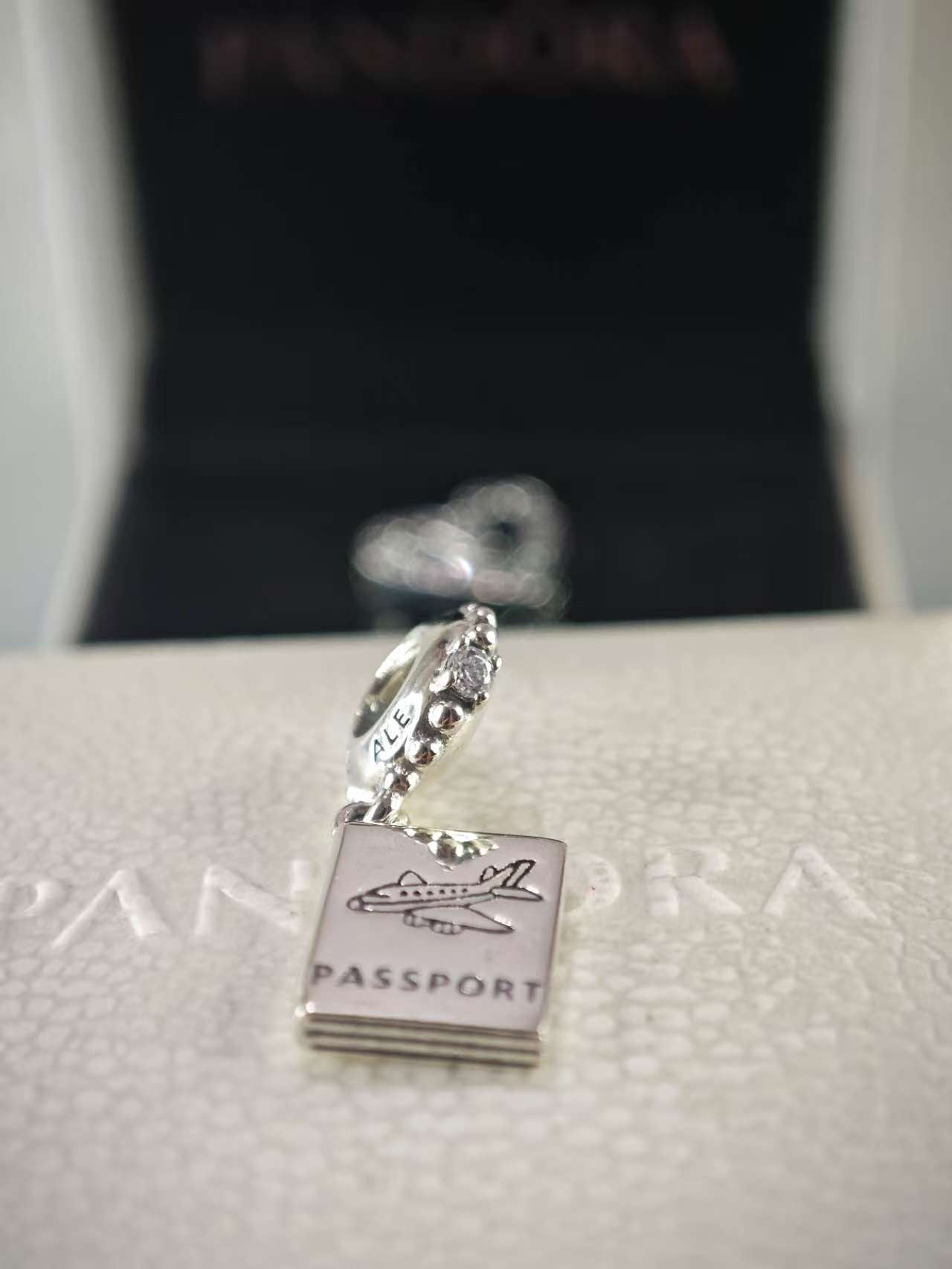 Passport Travel Dangle Charm