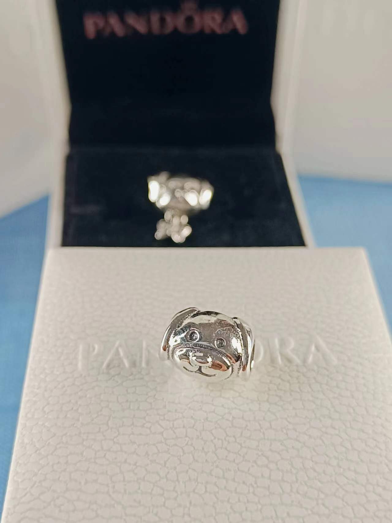Dog silver charm