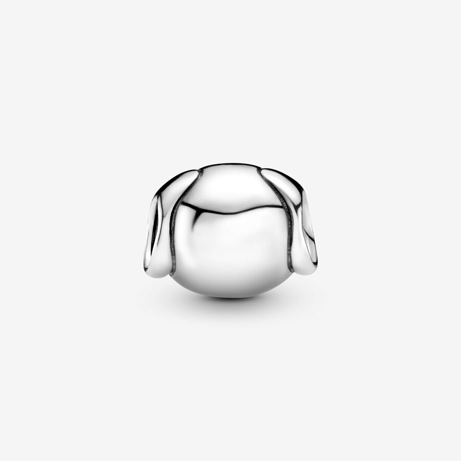 Dog silver charm