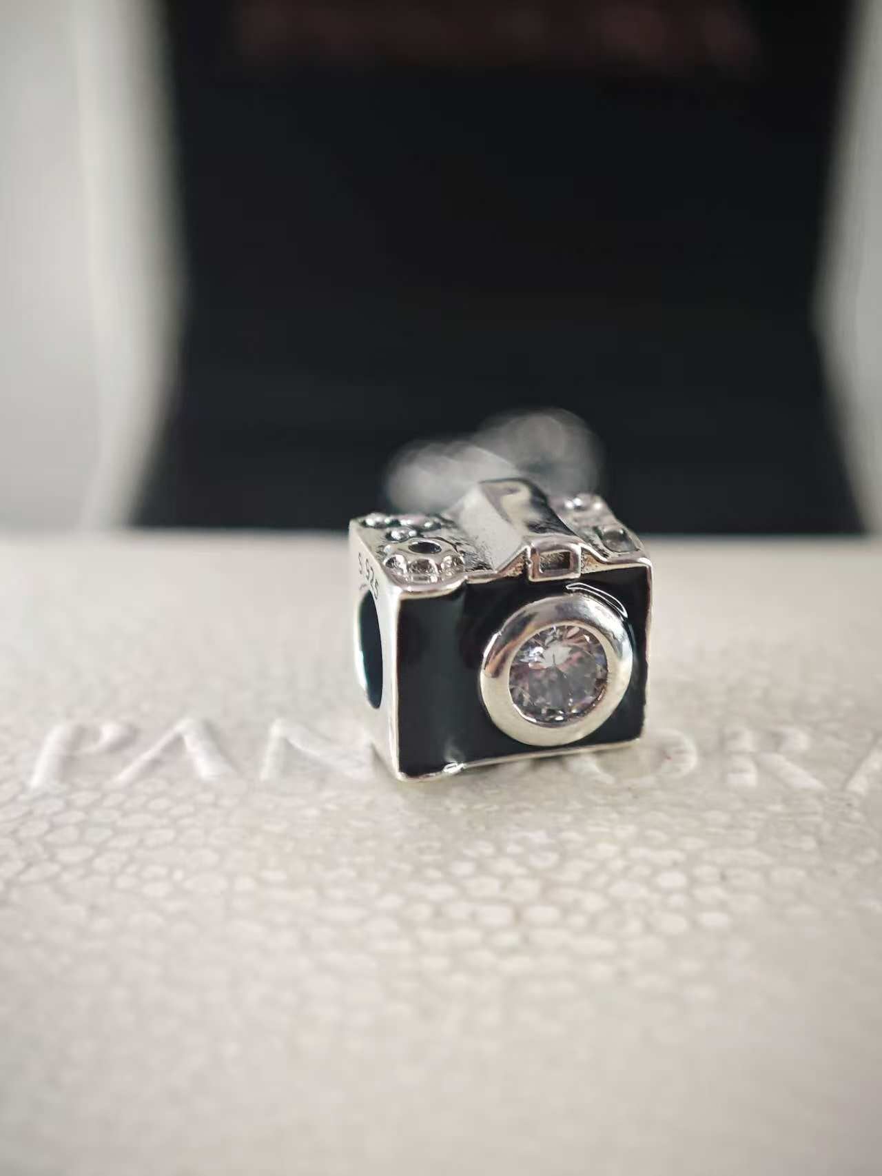 Sentimental Snapshots Camera Charm