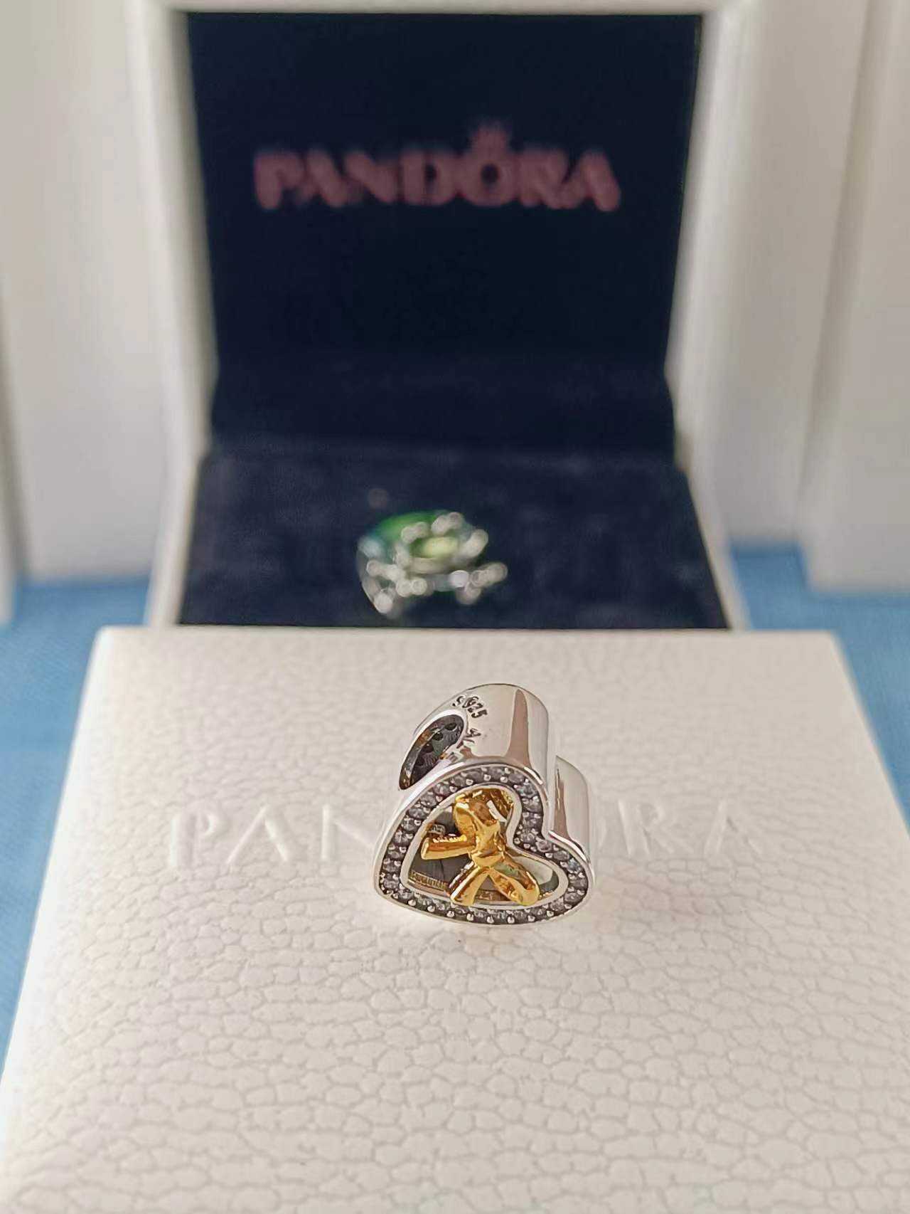 Limited Edition Bound by Love Charm