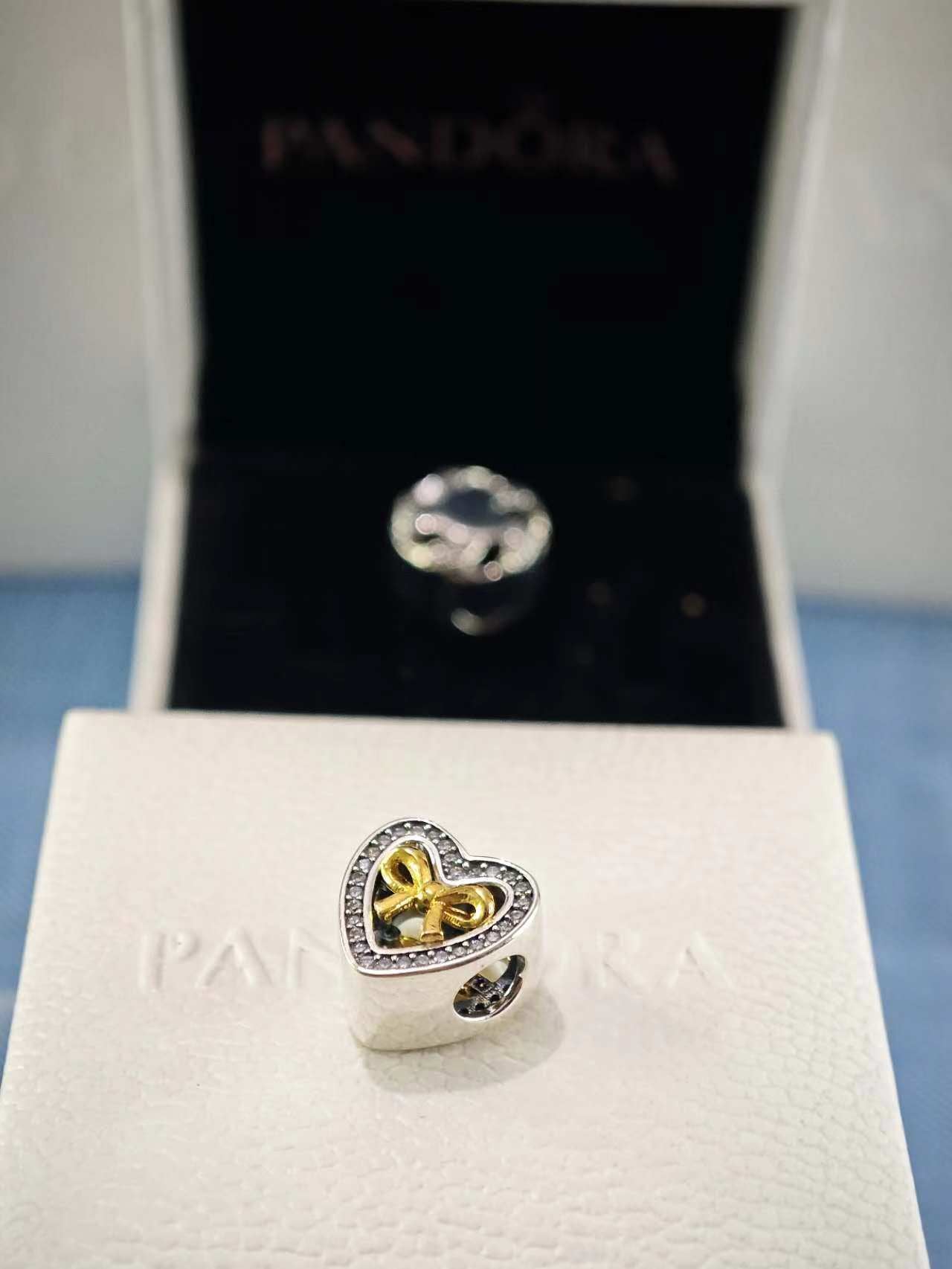 Limited Edition Bound by Love Charm