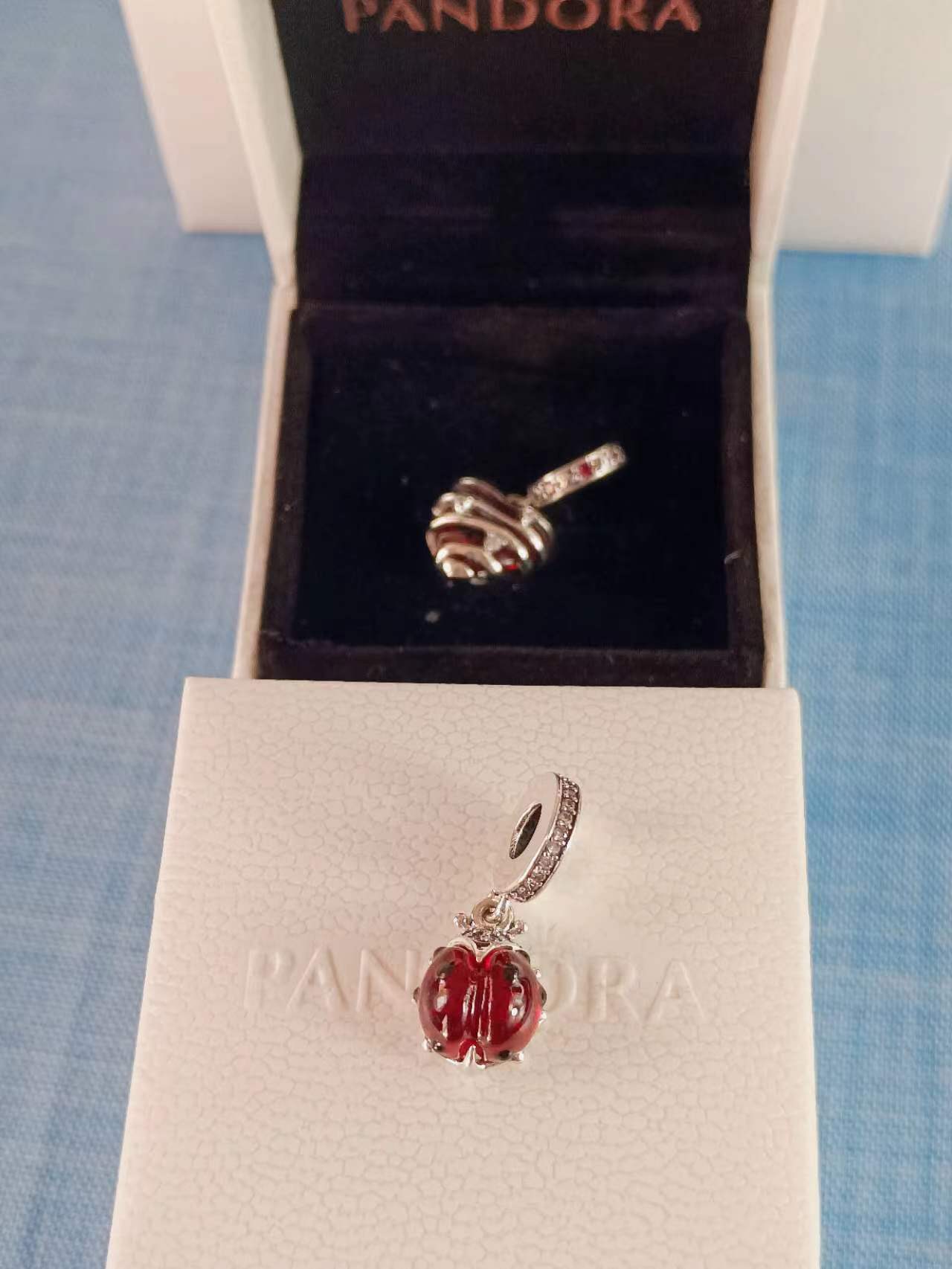 Red Ladybug Dangle Charm