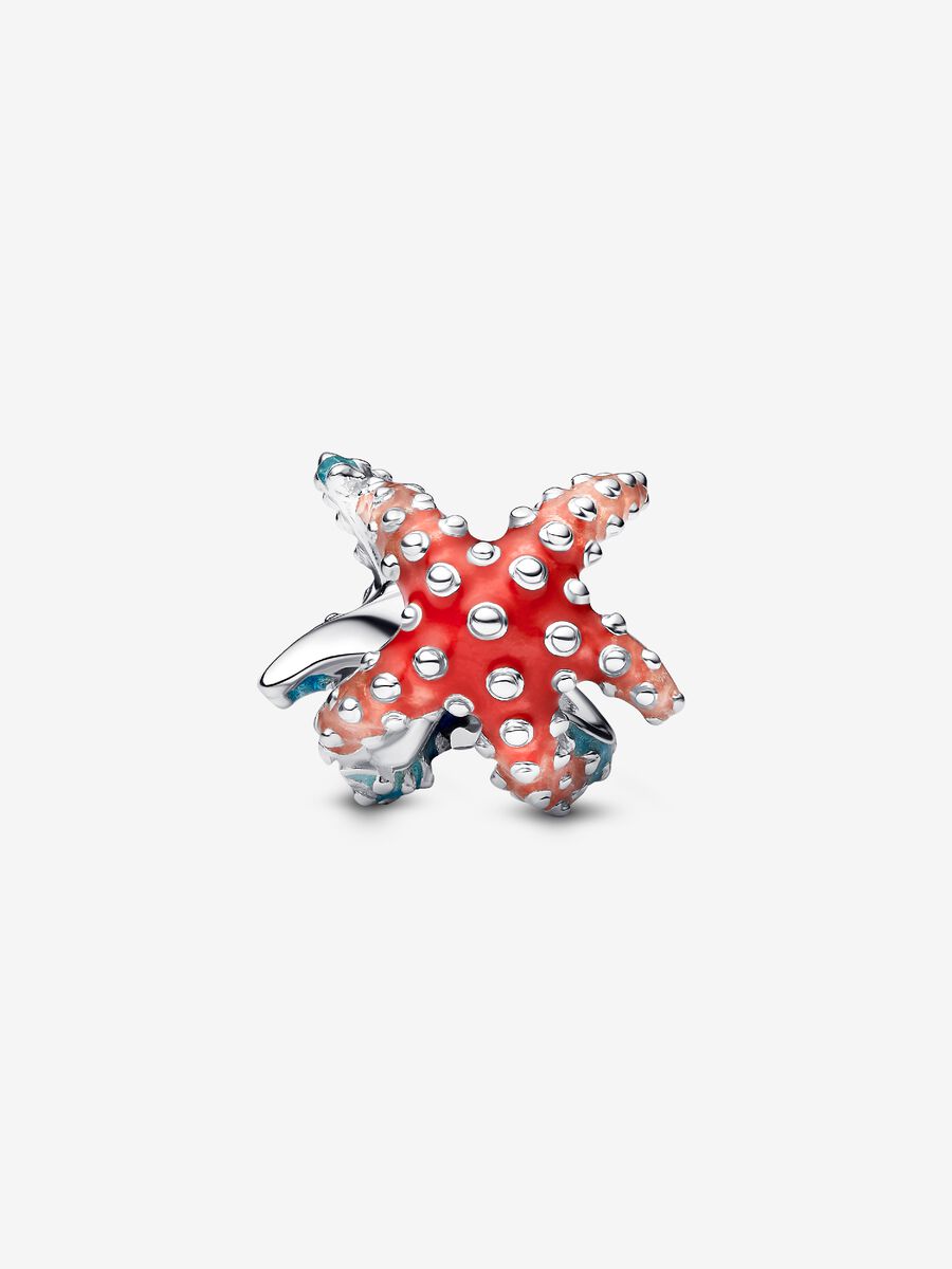 Colorful Starfish Mini Charm