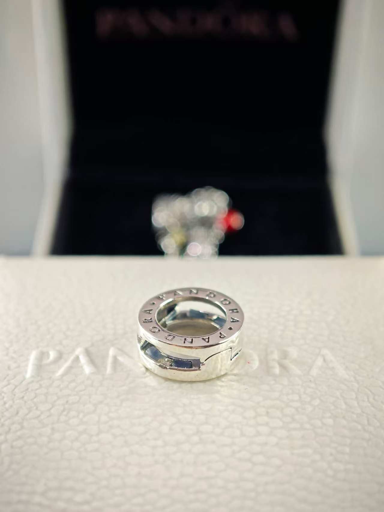 Reflexions Silver Logo Circle Clip Charm