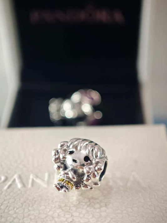 Harry Potter Hermione Granger Charm