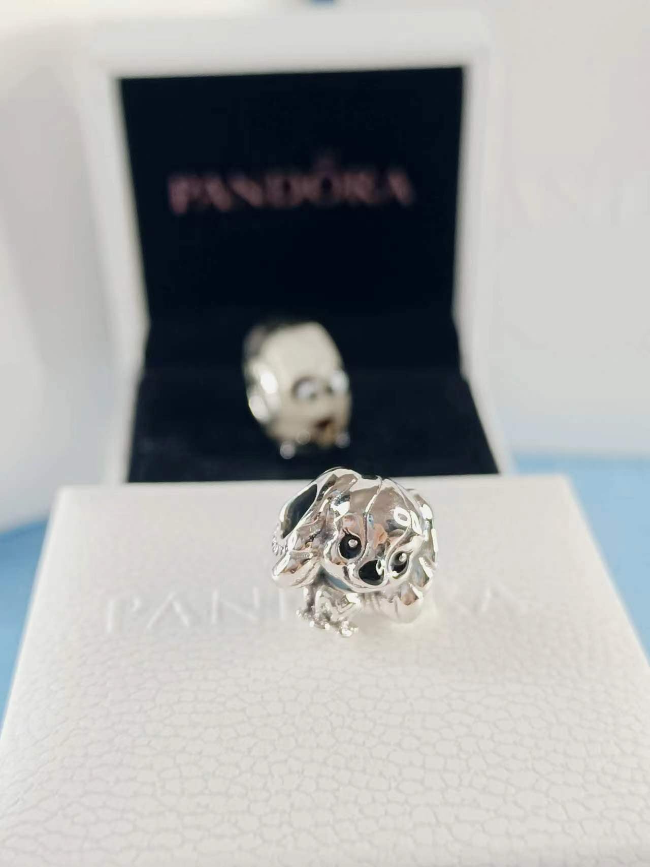 Disney Lady Charm