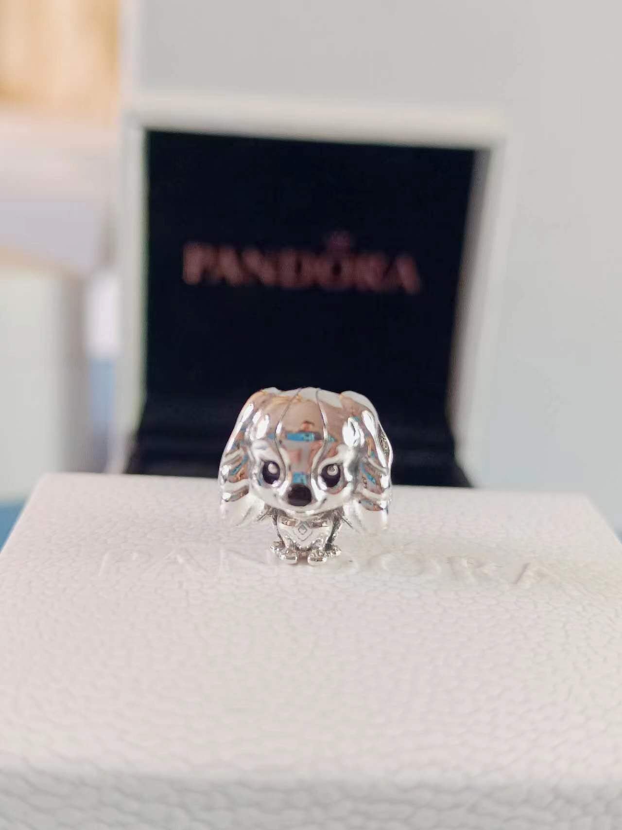 Disney Lady Charm
