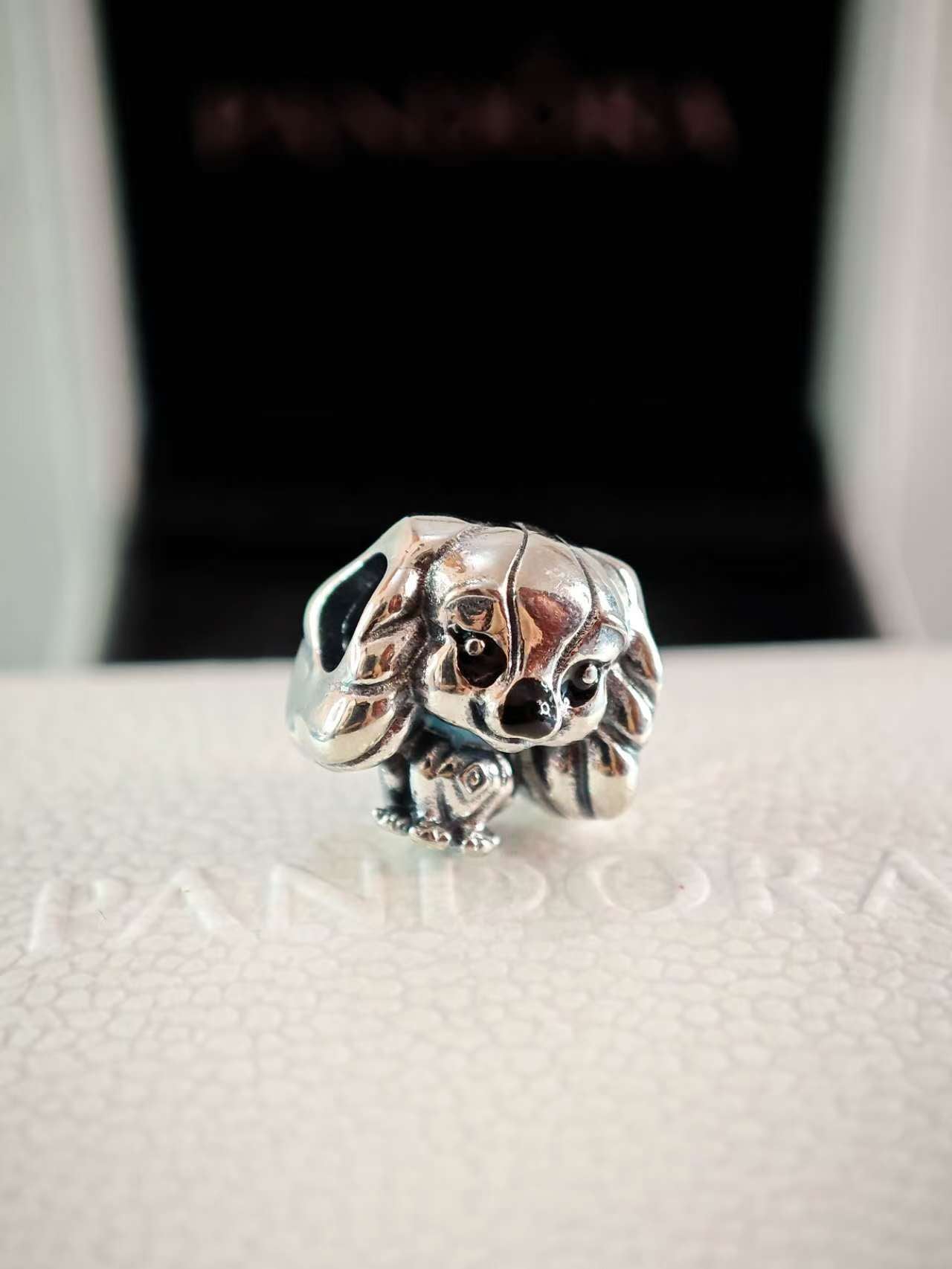 Disney Lady Charm